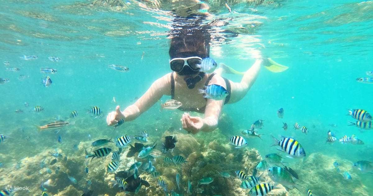 Snorkeling